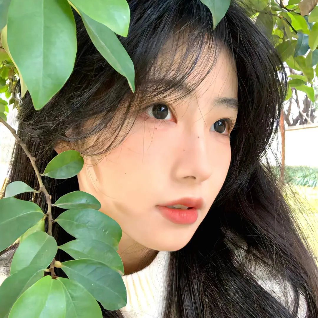 副总统第三季